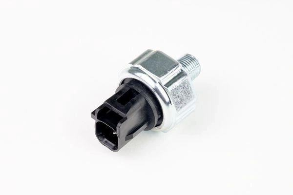 448-1010.jpg